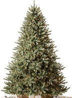 Balsam Hill 7.5ft Pre-Lit Classic Blue Spruce - Artificial Christmas Tree with 1000 Clear Incandescent Lights, Easy Plug Technology, Premium Stand for Indoor Holiday Decorating