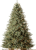 Balsam Hill 7.5ft Pre-Lit Classic Blue Spruce - Artificial Christmas Tree with 1000 Clear Incandescent Lights, Easy Plug Technology, Premium Stand for Indoor Holiday Decorating