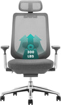 COLAMY Ergonomic Mesh Office Chair, High Back Office Chair, Computer Executive Desk Chair with Lumbar Support,Adjustable Headrest and 4D Arms, Slide Seat, Tilt Lock-Darkgrey New