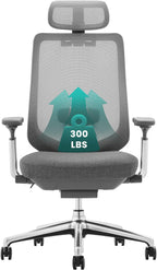 COLAMY Ergonomic Mesh Office Chair, High Back Office Chair, Computer Executive Desk Chair with Lumbar Support,Adjustable Headrest and 4D Arms, Slide Seat, Tilt Lock-Darkgrey New