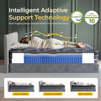 Queen Size Mattress 12 inch - 2026 Hybrid Firm Mattress in a Box Spring, Cooling Memory Foam, Pocket Springs, Medium Firmness for Pressure Relief, Motion Isolation, Edge Support, Side & Back Sleepers