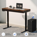 FLEXISPOT Q5 Standing Desk with Drawer, 48 x 24 Inch Electric Adjustable Height Stand Up Desk with Storage Organizer, Whole Piece Wooden Desktop for Home, Office, Computer Workstation, Dark Walnut