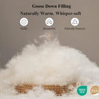 Globon Winter White Goose Down Comforter Queen Size,Down Duvet Insert,800 Fill Power,420 Thread Count Ultra Soft Noiseless Shell with Corner Tabs,White