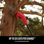 CRAFTSMAN Pole Saw, Pole Saws for Tree Trimming, Cordless V20 Tool-Only Tree Trimmer, Up to 14 Ft Extended Reach (CMCCSP20B)
