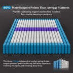 BedStory 14 Inch Firm Queen Size Mattress, Luxury Hybrid Mattress in a Box for Zoned Pressure and Back Pain Relief, Signature Collection Deep Sleep Mattresses, 10 Years Warranty, 365 Nights Trial