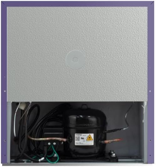 Frigidaire EFR115-PURPLE 1.6 Cu Ft Compact Fridge for Office, Dorm Room, Mancave or RV, Purple