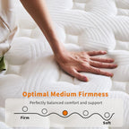 12 Inch Mattress,Medium Firm Hybrid Memory Foam & Pocket Springs for Pressure Relief CertiPUR-US Certified Fiberglass Free, 500 Night Trial (12 inch, Queen)