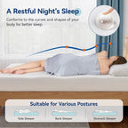 Amazon Basics Memory Foam Plush Mattress, Queen, White/Grey, 80 x 60 x 8 inches