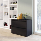STAPLES 870395 Branded Commercial 36-Inch Wide 2-Drawer Lateral File Cabinet Black