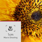 Panasonic LUMIX FZ80D Point and Shoot Digital Camera 4K Photo/Video Recording with Power Optical Image Stabilizer  Vlogging Camera with 60X Optical Zoom & 20-1200mm Wide-Angle Lens - DC-FZ80D