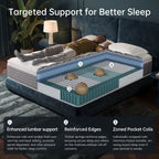 14 Inch King Size Mattress, Medium Plush Hybrid with Memory Foam & Individually Wrapped Coils, CertiPUR-US Certified, Fiberglass-Free Design (14 inch, King)