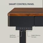 FLEXISPOT Q5 Standing Desk with Drawer, 48 x 24 Inch Electric Adjustable Height Stand Up Desk with Storage Organizer, Whole Piece Wooden Desktop for Home, Office, Computer Workstation, Dark Walnut