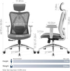SIHOO M18 Ergonomic Office Chair, Computer Desk Chair with Adjustable Headrest and Lumbar Support, High Back Executive Swivel Chair for Home Office (Dark Gray)