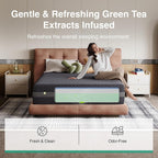 Novilla Queen Mattress 12 Inch, Queen Gel Memory Foam Mattress for Spinal Alignment, Responsive Support & Refreshing Sleep Comfort, with Green Tea-Infused Foam, Medium Firm, Mattresses in a Box