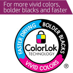 HP Printer Paper | 8.5 x 11 Paper | Premium 24 lb | 32 Case Pallet - 160,000 Sheets | 100 Bright | Made in USA - FSC Certified | 112400P