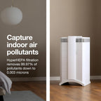 IQAir HealthPro Air Purifier - Smart HyperHEPA Filtration for Large Rooms up to 1125 sq ft - Smoke, Viruses, Allergens, Asthma, Mold, Dust, Pets, Swiss Made, Wifi App Control (Large Room - Plus XE)