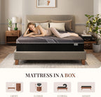 CH Charme House 12 Inch Queen Mattress, Bamboo-Charcoal Memory Foam Mattress, Cooling & Pressure Relief, Bed in a Box, Foam Made in USA & CertiPUR-US Certified, 60'x80'x12', Black