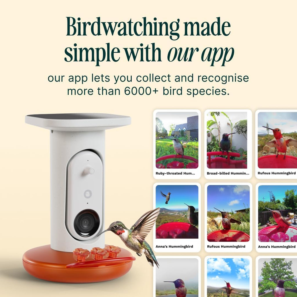 Birdbuddy Smart Solar Pro Hummingbird Feeder with Camera - AI Bird Identification  2K Video  5MP Photos  Outdoor Hanging  Gift for Bird Watching