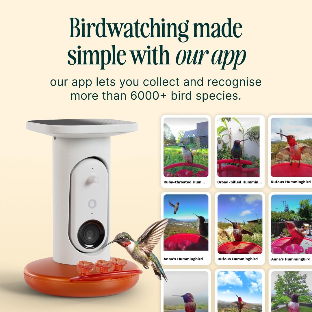 Birdbuddy Smart Solar Pro Hummingbird Feeder with Camera - AI Bird Identification  2K Video  5MP Photos  Outdoor Hanging  Gift for Bird Watching
