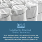 Beautyrest Prime Dream Medium 12.5" Mattress - Twin XL - Durable Pocketed Coil, Support, Pressure Relief, Cooling, Motion Separation; 100 Night Sleep Trial and 10 Year Warranty