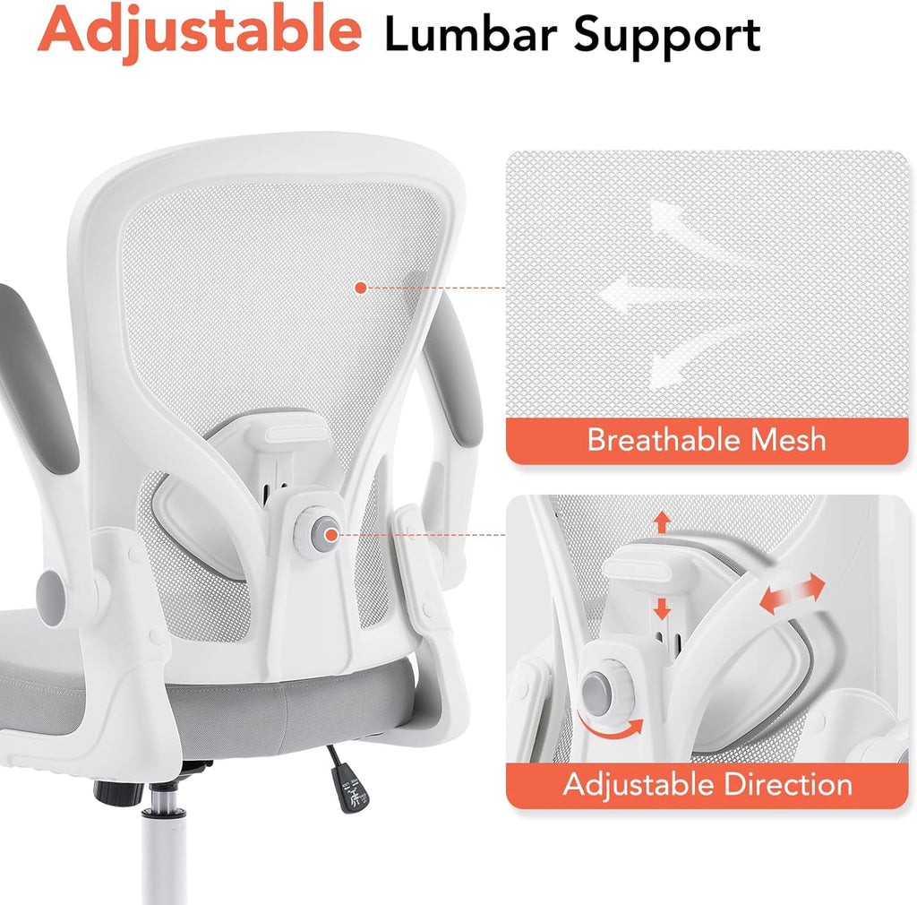 Ergonomic Office Chair, Computer Desk Chair with Adjustable Lumbar Support and Flip-up Armrests, Rocking Function, Comfy Mesh Office Desk Chair for Home Office, Grey