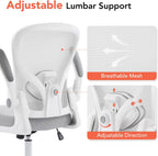 Ergonomic Office Chair, Computer Desk Chair with Adjustable Lumbar Support and Flip-up Armrests, Rocking Function, Comfy Mesh Office Desk Chair for Home Office, Grey