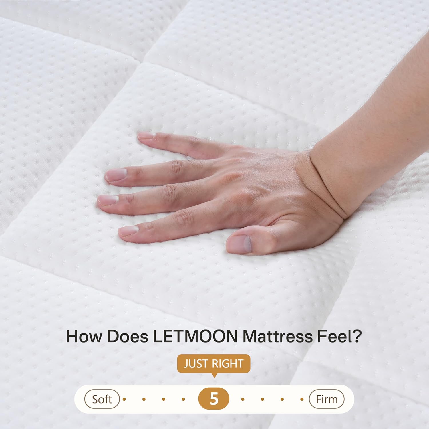 ETMOON 12 Inch Twin XL Mattress, Hybrid Memory Foam Mattress, Medium Firm for Side & Back Sleepers, Motion Isolation, Reinforced Edges, Targeted Back Support, No Fiberglass, Bed in a Box