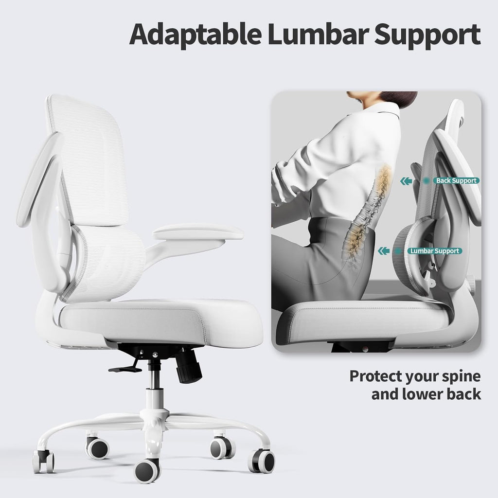 TRALT Office Chair - Ergonomic Desk Chair with Adjustable Lumbar Support, Mesh Computer Chair, Executive Chairs for Home Office Comfortable Lumbar Support (Cloud White)