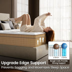 BedStory Extra Firm Queen Mattress, 12 Inch Hybrid Mattresses with Extra Back and Lumbar Hip Support, Pressure and Pain Relief, CertiPUR-US Certified, Fiberglass-Free, 365 Nights Trial