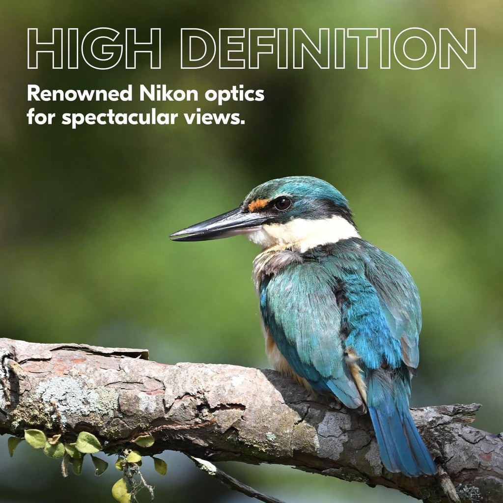Nikon PROSTAFF P3 10x42 Binocular | Waterproof  fogproof  Rubber-Armored Full-Size Binocular  Wide Field of View & Long Eye Relief | Official Nikon USA Model