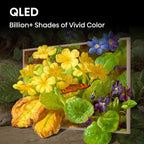 Hisense 55-Inch Class QLED 4K S7N CanvasTV Series Dolby Vision HDR Google Smart TV (55S7N) - 144Hz  Art Mode  Anti-Glare Panel  Hi-Matte Display  Frame & UltraSlim Wall Mount Included