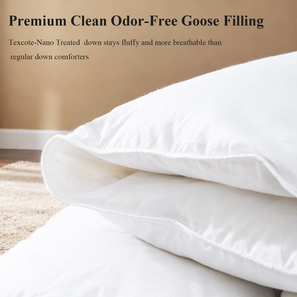 Globon Winter White Goose Down Comforter Queen Size,Down Duvet Insert,800 Fill Power,420 Thread Count Ultra Soft Noiseless Shell with Corner Tabs,White