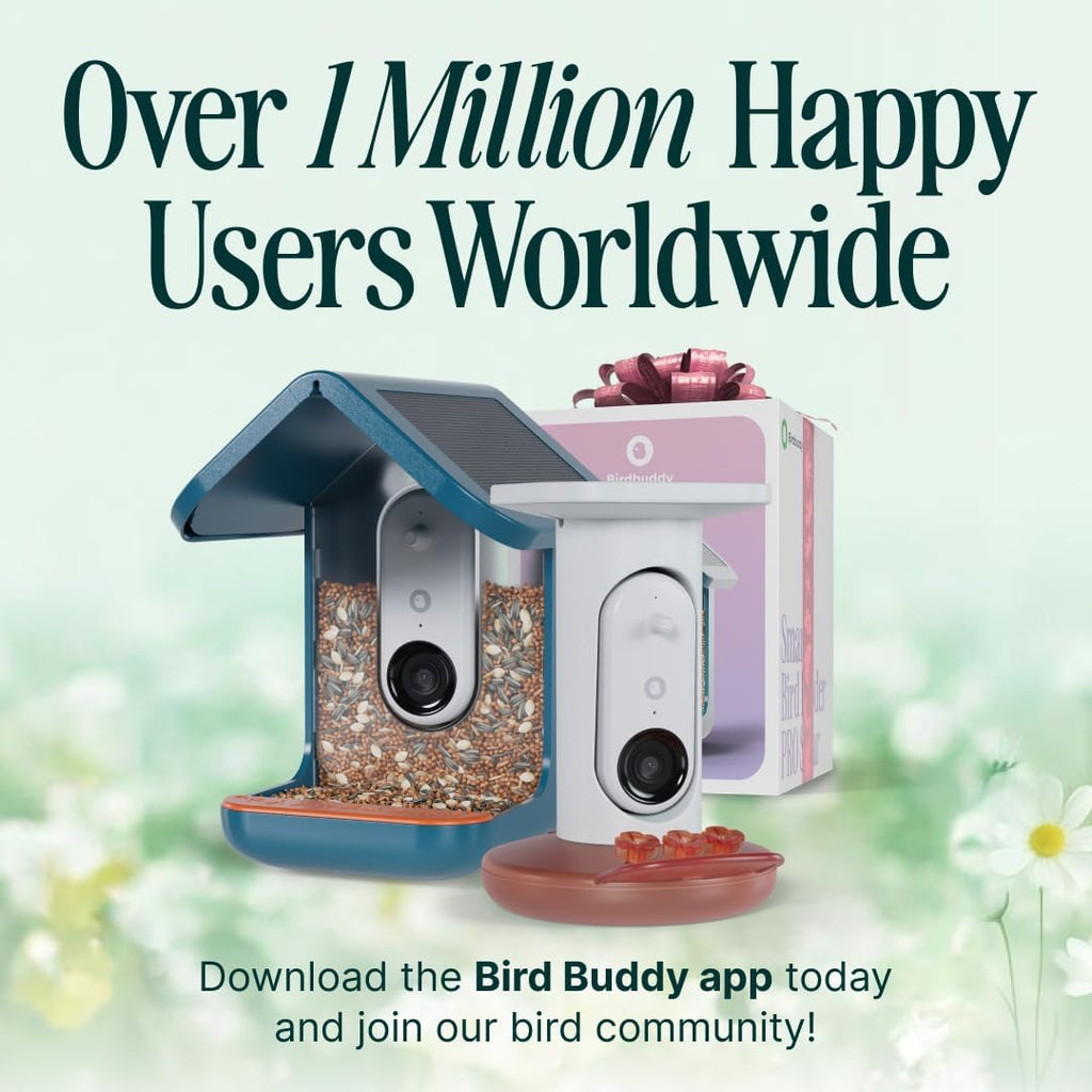 Birdbuddy Smart Solar Pro Hummingbird Feeder with Camera - AI Bird Identification  2K Video  5MP Photos  Outdoor Hanging  Gift for Bird Watching