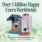 Birdbuddy Smart Solar Pro Hummingbird Feeder with Camera - AI Bird Identification  2K Video  5MP Photos  Outdoor Hanging  Gift for Bird Watching