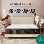 HELFIM® Queen Mattress - 12 Inch Medium Firm Ergonomic Mattress, Hybrid Zoned Pocket Springs with Memory Foam for Spinal Support & Motion Isolation - CertiPUR-US Certified, 365-Night Trial