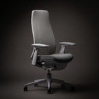 Haworth Fern Ergonomic Office Chair with Lumbar Support, Adjustable Desk Computer Chair with Breathable Mesh Finish for Home Office Furniture, Silver Leaf