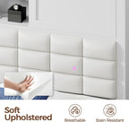 Rolanstar Bed Frame Full Size with Charging Station, Bookcase Headboard Bed with LED Light and Sliding Doors, Platform Bed with Wooden Slats, No Box Spring Needed, Noise Free, White
