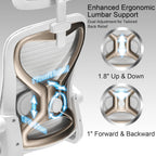 Ergonomic Office Chair for Back & Neck Pain Relief, Virgin Foam Seat, 2D Adjustable Lumbar & 3D Headrest, Tilt & Rock for Relaxation, Ideal for Long Sitting Comfort, White/Gold