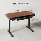FLEXISPOT Q5 Standing Desk with Drawer, 48 x 24 Inch Electric Adjustable Height Stand Up Desk with Storage Organizer, Whole Piece Wooden Desktop for Home, Office, Computer Workstation, Dark Walnut