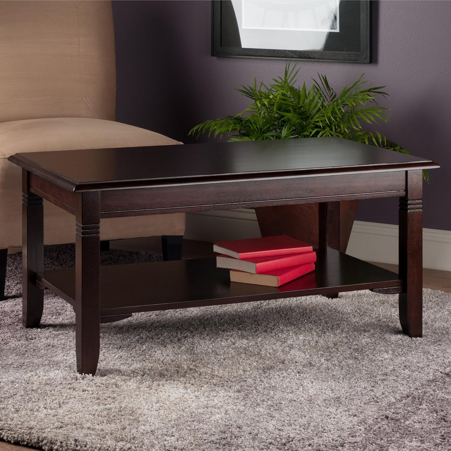 Winsome Nolan Coffee Table, Small Table with Shelf Storage, Practical and Elegant Living Room Decor, Stylish Furniture Essentials for New Homes, Apartments