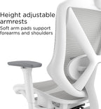 STAPLES Ergonomic Task Chair, Mesh, Ergonomic, Lumbar Support, Gray
