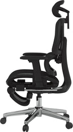 FLEXISPOT ErgoX Premium Ergonomic Office Chair with Footrest- Adjustable 3D Armrests, Dynamic Lumbar Support, Recline & Tilt Function, Mesh Seat, for Home & Office Use,Black