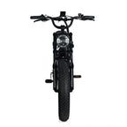 Electric Mountain Bike for Adults | 20 x 4.0 Fat Tires, 1000W Motor, 48V 20Ah Removable Battery, Max Speed 45MPH, Shi Mano 7-Speed for Off-Road Adventures