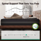 Novilla Queen Mattress 12 Inch, Queen Gel Memory Foam Mattress for Spinal Alignment, Responsive Support & Refreshing Sleep Comfort, with Green Tea-Infused Foam, Medium Firm, Mattresses in a Box