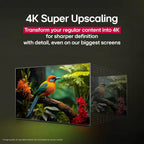 LG 65-Inch Class OLED B4 Series Smart TV 4K Processor Flat Screen with Magic Remote AI-Powered with Alexa Built-in (OLED65B4PUA  2024) (Renewed)