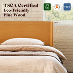AMERLIFE Solid Wood Queen Bed Frame, Mid Century Modern Platform Bed with Full Panel Headboard, Wooden Bed with Cylindrical Legs, No Box Spring Needed & Noise-Free, Natural Wood
