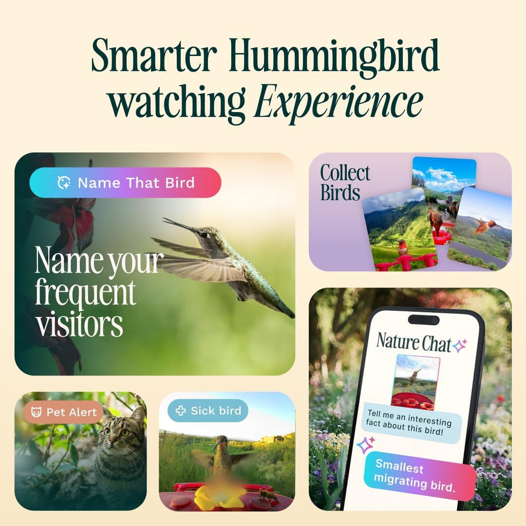 Birdbuddy Smart Solar Pro Hummingbird Feeder with Camera - AI Bird Identification  2K Video  5MP Photos  Outdoor Hanging  Gift for Bird Watching