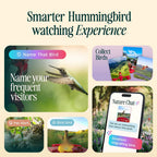 Birdbuddy Smart Solar Pro Hummingbird Feeder with Camera - AI Bird Identification  2K Video  5MP Photos  Outdoor Hanging  Gift for Bird Watching