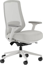 Branch Ergonomic Chair Pro - Mesh Office Chair with 14 Points of Adjustment - Height, Depth & Tilt Adjustable - 5D Armrests - Forward Tilt, Smooth Recline, and Lumbar Support - Mineral