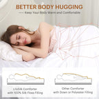 LilySilk All Season 100% Silk Comforter with Silk Shell Duvet, Queen(87x90 Inch,Net Weight:1.75kg)